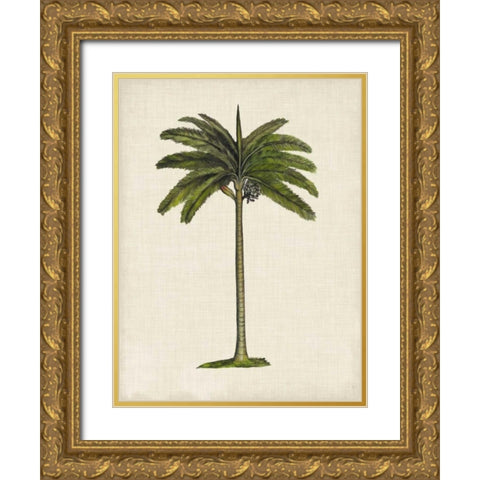 British Palms IV Gold Ornate Wood Framed Art Print with Double Matting by McCavitt, Naomi