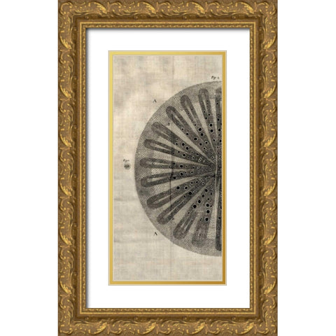Cross Cut III Left Gold Ornate Wood Framed Art Print with Double Matting by Butler, John