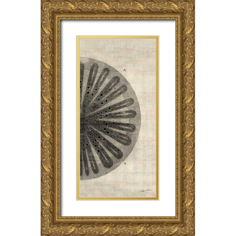 Cross Cut III Right Gold Ornate Wood Framed Art Print with Double Matting by Butler, John