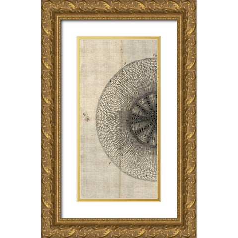 Cross Cut IV Left Gold Ornate Wood Framed Art Print with Double Matting by Butler, John