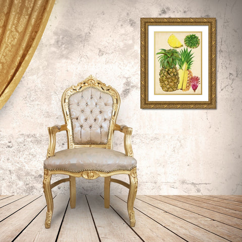 Tropical Pineapple Study I Gold Ornate Wood Framed Art Print with Double Matting by Wang, Melissa