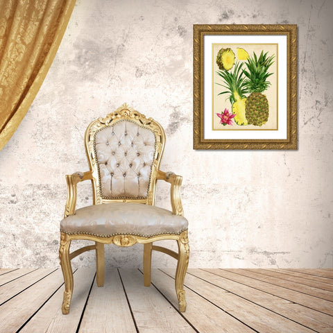 Tropical Pineapple Study II Gold Ornate Wood Framed Art Print with Double Matting by Wang, Melissa