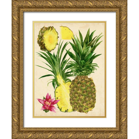 Tropical Pineapple Study II Gold Ornate Wood Framed Art Print with Double Matting by Wang, Melissa