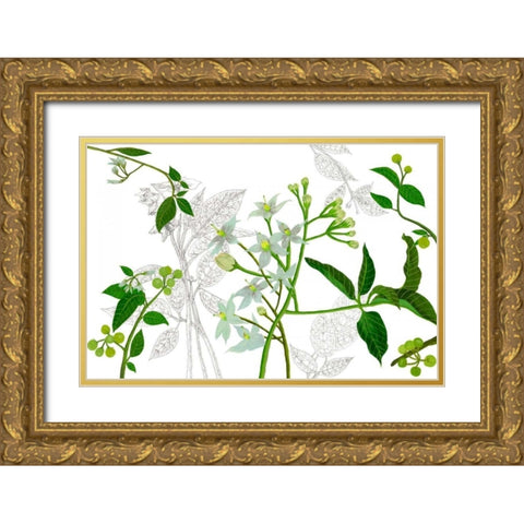 Solanum I Gold Ornate Wood Framed Art Print with Double Matting by Wang, Melissa