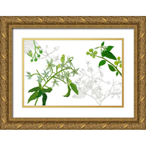 Solanum II Gold Ornate Wood Framed Art Print with Double Matting by Wang, Melissa