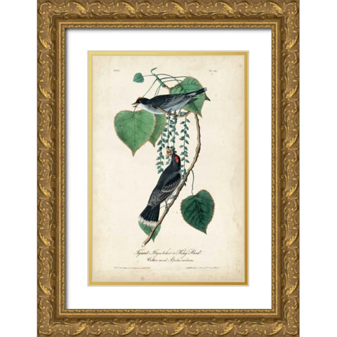 Flycatcher and King Bird Gold Ornate Wood Framed Art Print with Double Matting by Audubon, John James