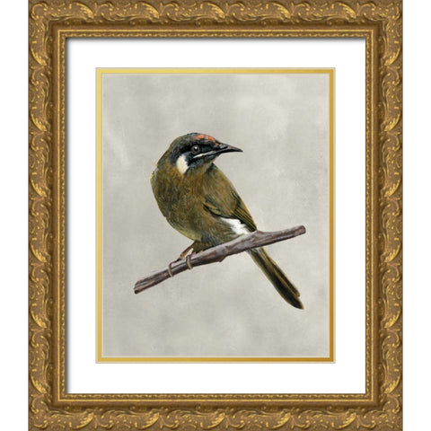 Winged Beauty III Gold Ornate Wood Framed Art Print with Double Matting by McCavitt, Naomi