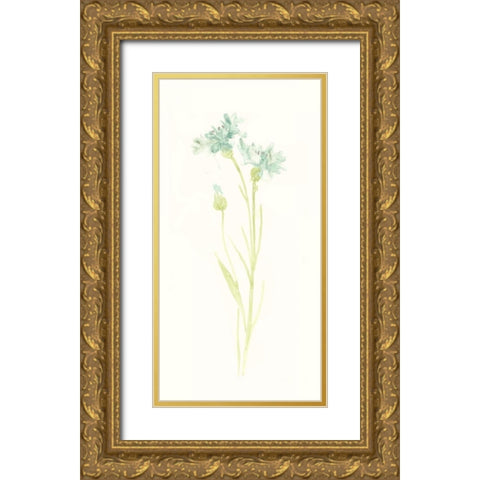 Cornflower Study I Gold Ornate Wood Framed Art Print with Double Matting by Vess, June Erica