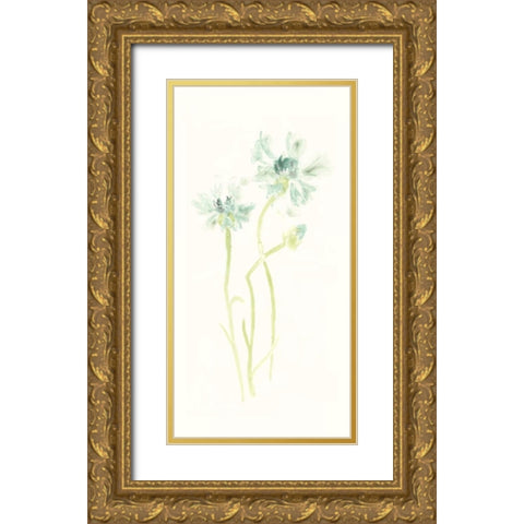 Cornflower Study II Gold Ornate Wood Framed Art Print with Double Matting by Vess, June Erica