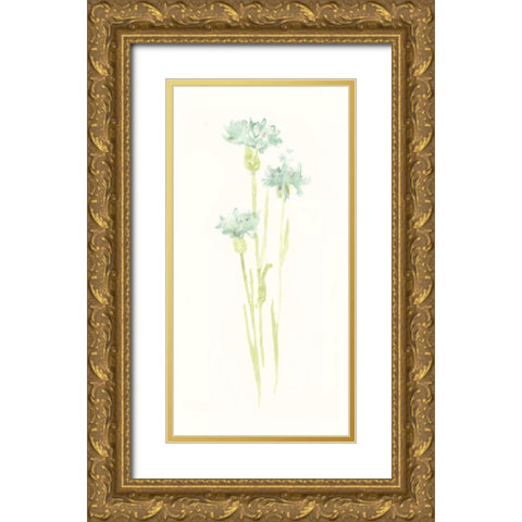 Cornflower Study IV Gold Ornate Wood Framed Art Print with Double Matting by Vess, June Erica
