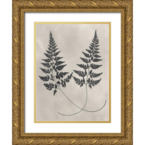 Vintage Fern Study I Gold Ornate Wood Framed Art Print with Double Matting by Vision Studio
