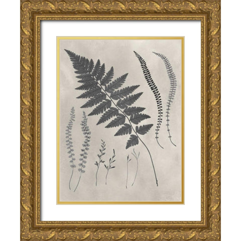 Vintage Fern Study II Gold Ornate Wood Framed Art Print with Double Matting by Vision Studio