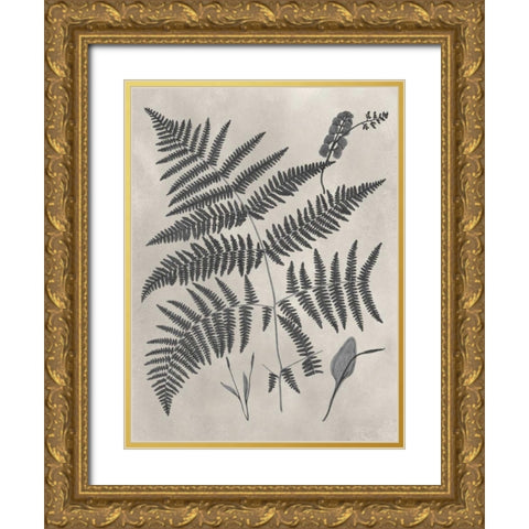 Vintage Fern Study IV Gold Ornate Wood Framed Art Print with Double Matting by Vision Studio