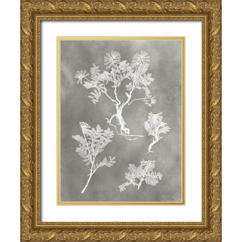 Herbarium Study II Gold Ornate Wood Framed Art Print with Double Matting by Vision Studio