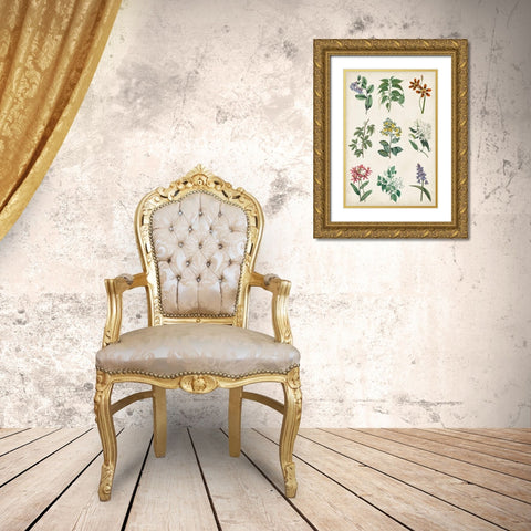 Botanical Chart I Gold Ornate Wood Framed Art Print with Double Matting by Vision Studio