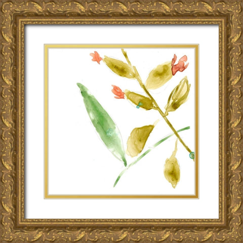 Tropical Display VIII Gold Ornate Wood Framed Art Print with Double Matting by Goldberger, Jennifer