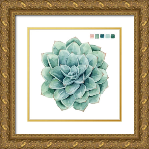 Succulent Swatches I Gold Ornate Wood Framed Art Print with Double Matting by Popp, Grace