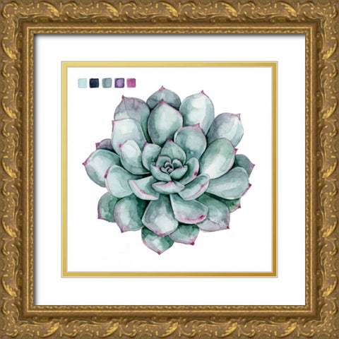 Succulent Swatches II Gold Ornate Wood Framed Art Print with Double Matting by Popp, Grace