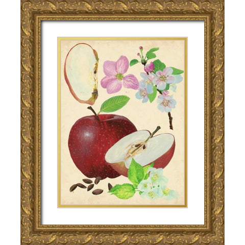 Apple and Blossom Study I Gold Ornate Wood Framed Art Print with Double Matting by Wang, Melissa