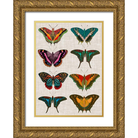 Polychrome Butterflies II Gold Ornate Wood Framed Art Print with Double Matting by Vision Studio