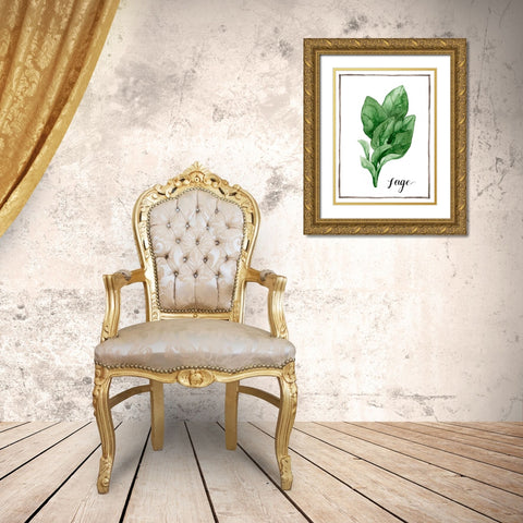 Watercolor Herbs VI Gold Ornate Wood Framed Art Print with Double Matting by Popp, Grace