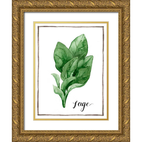 Watercolor Herbs VI Gold Ornate Wood Framed Art Print with Double Matting by Popp, Grace