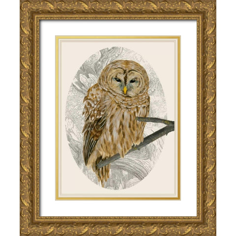 Barred Owl I Gold Ornate Wood Framed Art Print with Double Matting by Wang, Melissa