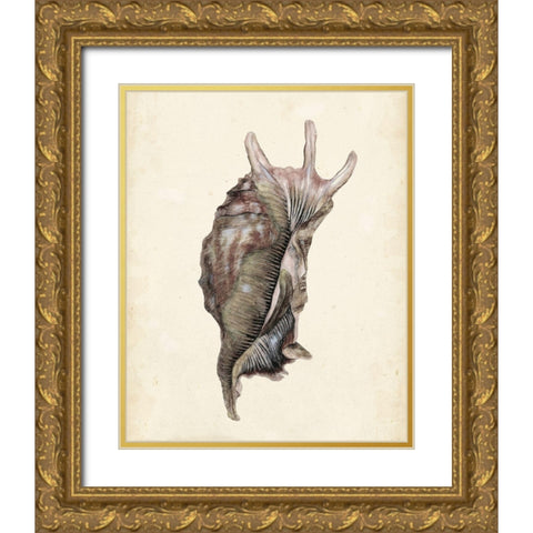 Watercolor Seashell IV Gold Ornate Wood Framed Art Print with Double Matting by Wang, Melissa