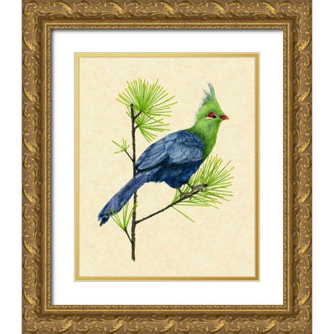 Green Turaco I Gold Ornate Wood Framed Art Print with Double Matting by Wang, Melissa