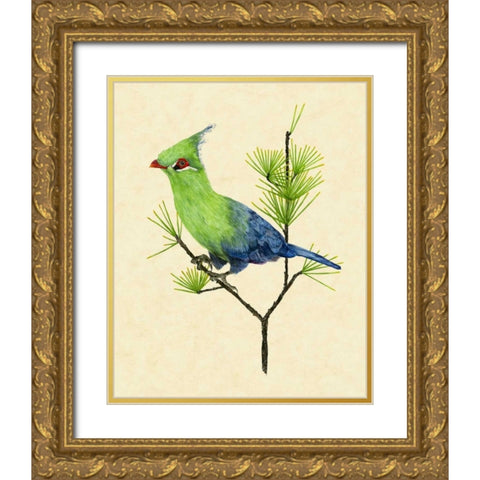 Green Turaco II Gold Ornate Wood Framed Art Print with Double Matting by Wang, Melissa