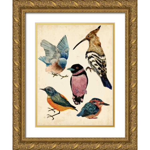 Bird Collection I Gold Ornate Wood Framed Art Print with Double Matting by Wang, Melissa