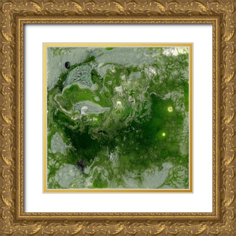 Pangaea I Gold Ornate Wood Framed Art Print with Double Matting by Ludwig, Alicia