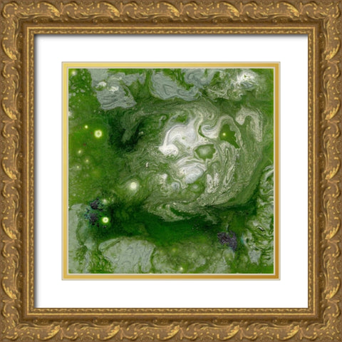 Pangaea II Gold Ornate Wood Framed Art Print with Double Matting by Ludwig, Alicia