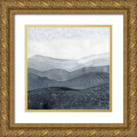 Blustering Valley I Gold Ornate Wood Framed Art Print with Double Matting by Popp, Grace