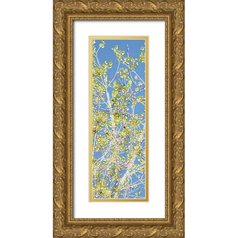 Spring Poplars II Gold Ornate Wood Framed Art Print with Double Matting by Chandler, Sharon