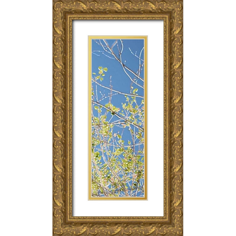 Spring Poplars IV Gold Ornate Wood Framed Art Print with Double Matting by Chandler, Sharon