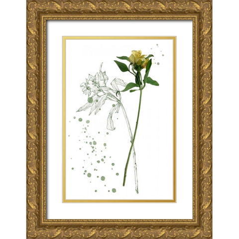 Botany Flower I Gold Ornate Wood Framed Art Print with Double Matting by Wang, Melissa