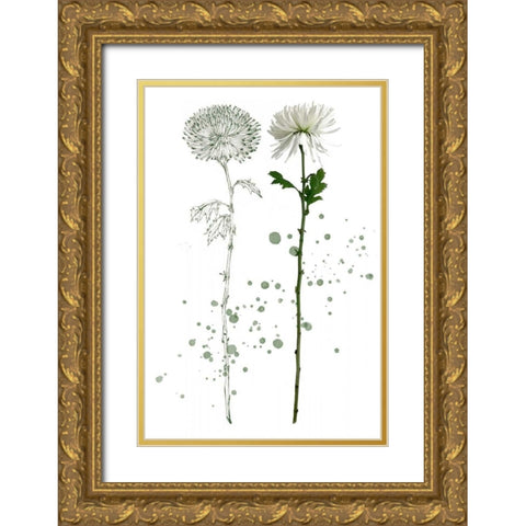 Botany Flower IV Gold Ornate Wood Framed Art Print with Double Matting by Wang, Melissa