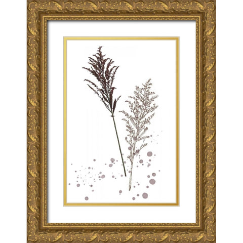 Botany Flower VI Gold Ornate Wood Framed Art Print with Double Matting by Wang, Melissa