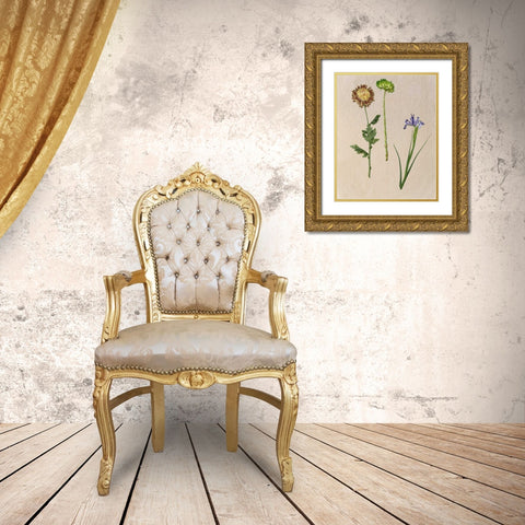 Pretty Pressed Flowers III Gold Ornate Wood Framed Art Print with Double Matting by Wang, Melissa