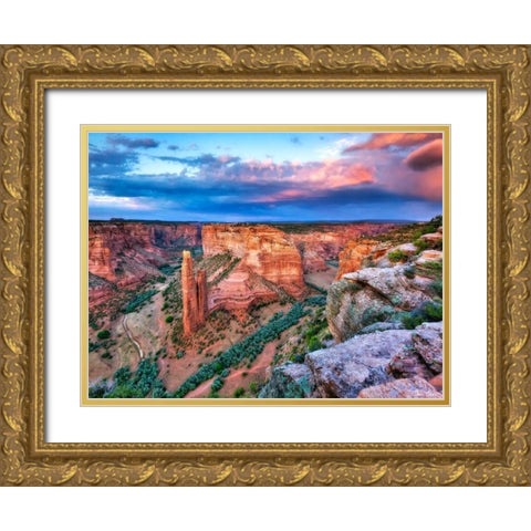 Canyon View VIII Gold Ornate Wood Framed Art Print with Double Matting by Drost, David