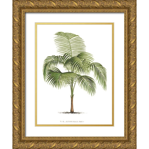 Custom Les Palmiers on White I Gold Ornate Wood Framed Art Print with Double Matting by Unknown