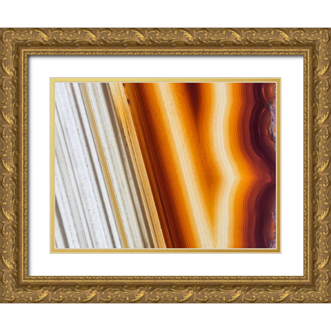 Level II Gold Ornate Wood Framed Art Print with Double Matting by Hartson-Weddle, Ryan