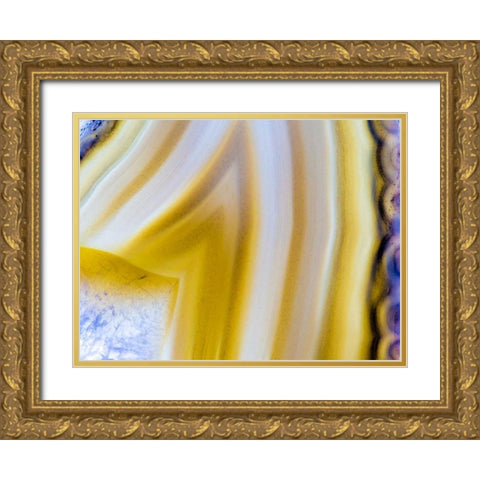 Level VIII Gold Ornate Wood Framed Art Print with Double Matting by Hartson-Weddle, Ryan