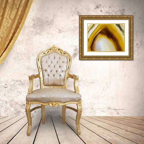 Level IX Gold Ornate Wood Framed Art Print with Double Matting by Hartson-Weddle, Ryan