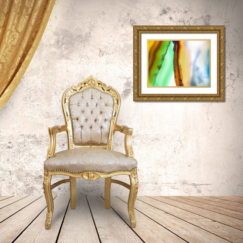 Level XIII Gold Ornate Wood Framed Art Print with Double Matting by Hartson-Weddle, Ryan