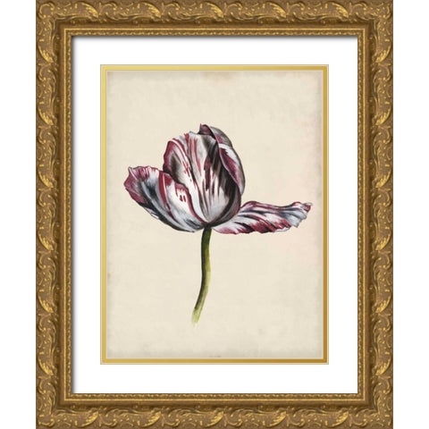 Antique Tulip Study II Gold Ornate Wood Framed Art Print with Double Matting by McCavitt, Naomi