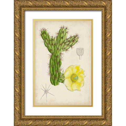 Antique Cactus I Gold Ornate Wood Framed Art Print with Double Matting by Curtis