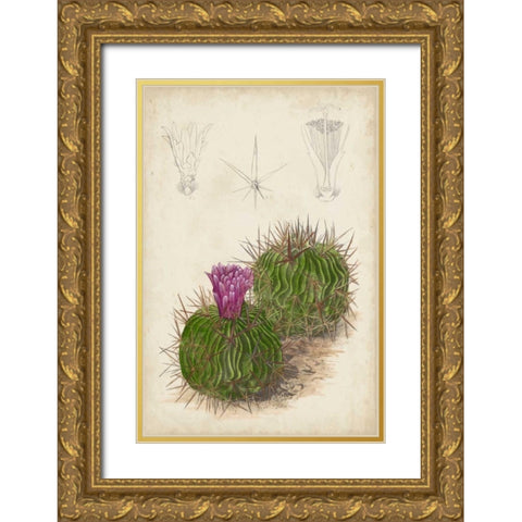 Antique Cactus II Gold Ornate Wood Framed Art Print with Double Matting by Curtis