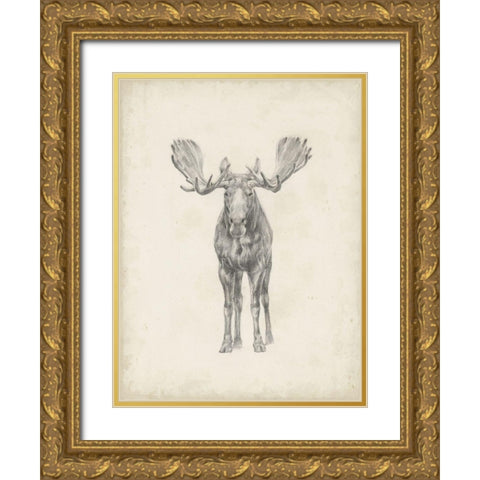 40x30 Custom Moose Study Gold Ornate Wood Framed Art Print with Double Matting by Harper, Ethan